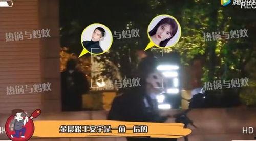 王安宇恋情爆料最新视频,甜蜜互动引网友热议